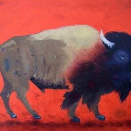 Red Buffalo