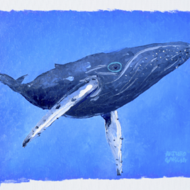 Ocean’s Grace